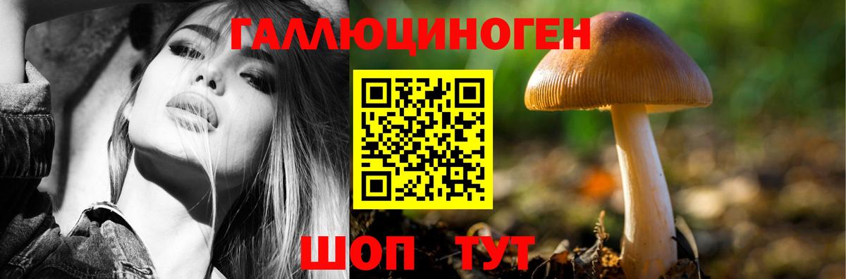 Псилоцибиновые грибы мицелий  Галлюциногенные грибы ЛСД  Луга  Вход с VPN 