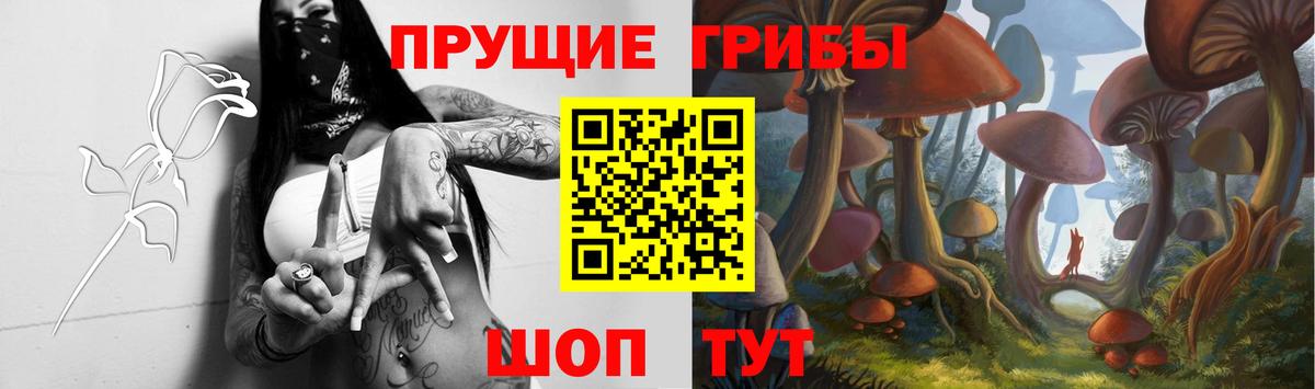 Галлюциногенные грибы мухоморы Луга